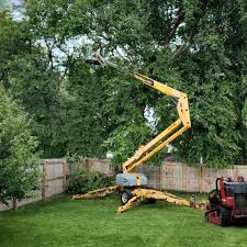 Best Pest Control for Lawns  in Meadow Woods, FL