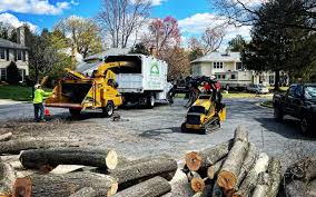 Best Lawn Pest Prevention  in Meadow Woods, FL