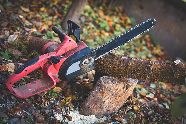 Mulching Services in Meadow Woods, FL